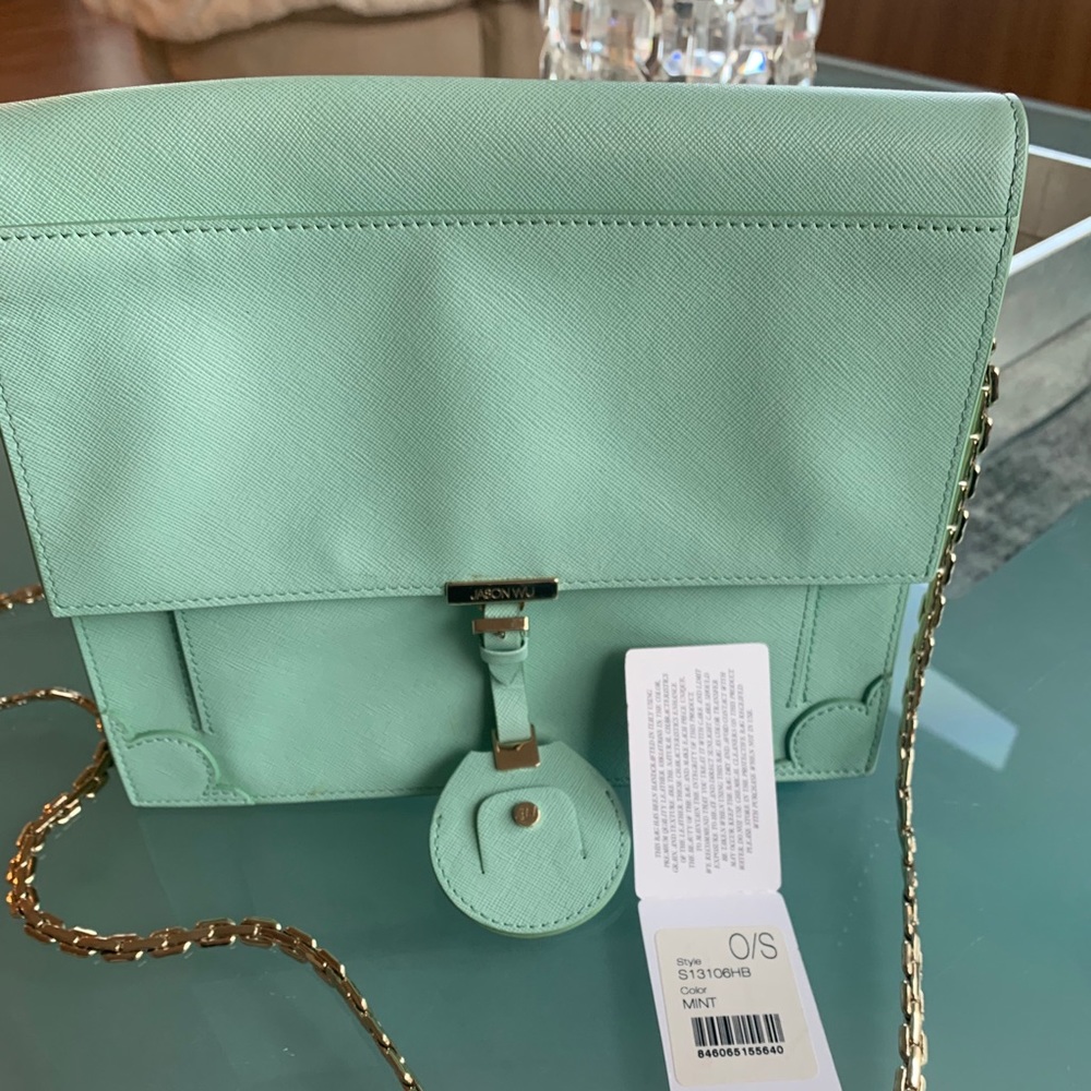 Jason Wu Jourdan Chain Crossbody Bag Color: Mint